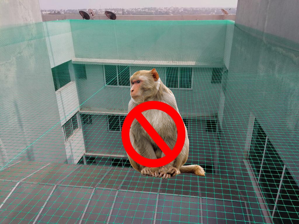Monkey Protection Nets